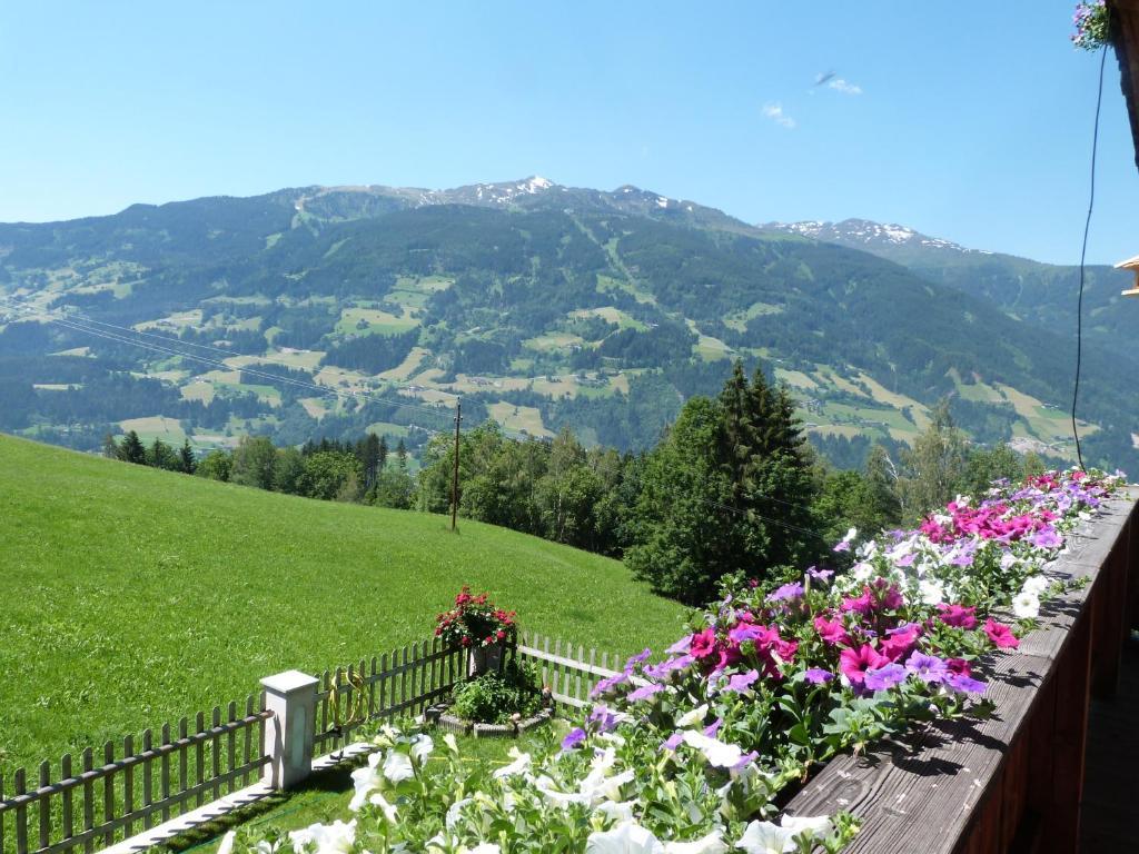 Appartement Haus Margret *